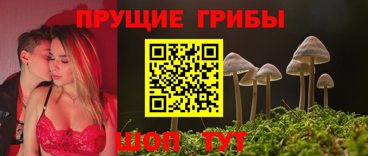 Псилоцибиновые грибы мухоморы Ефремов
